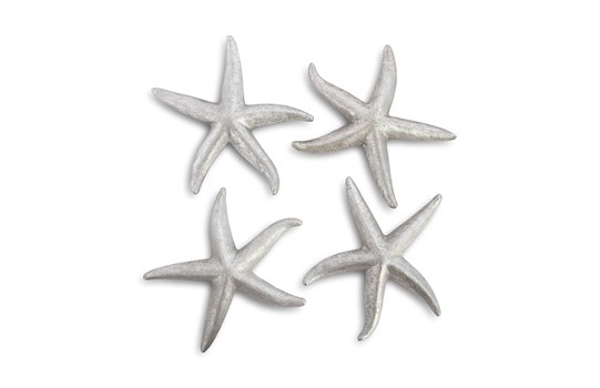 Starfish Silver Leaf Starfish Silver Leaf