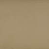 Gold Bullion Paint Gold Bullion Paint
