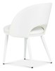 Dana Chair Dana Chair
