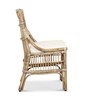 Winston II Rattan Side Chair - Antique Natural