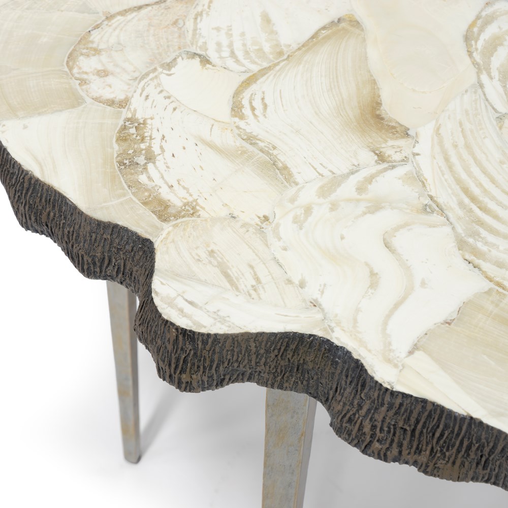 Chloe Fossilized Clam Console Table