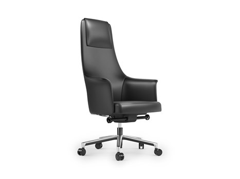 Bolo Desk Chair