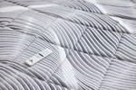 Clematis Twin XL - Hybrid Plush Clematis Twin XL - Hybrid Plush