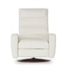 Lanier Comfort Echo Power Recliner Lanier Comfort Echo Power Recliner