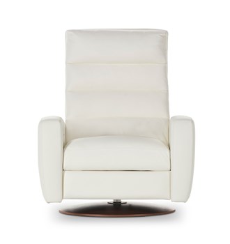 Lanier Comfort Echo Power Recliner