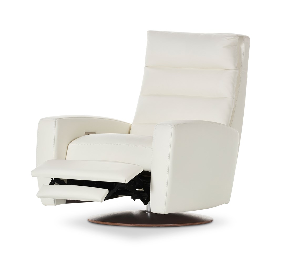Lanier Comfort Echo Power Recliner