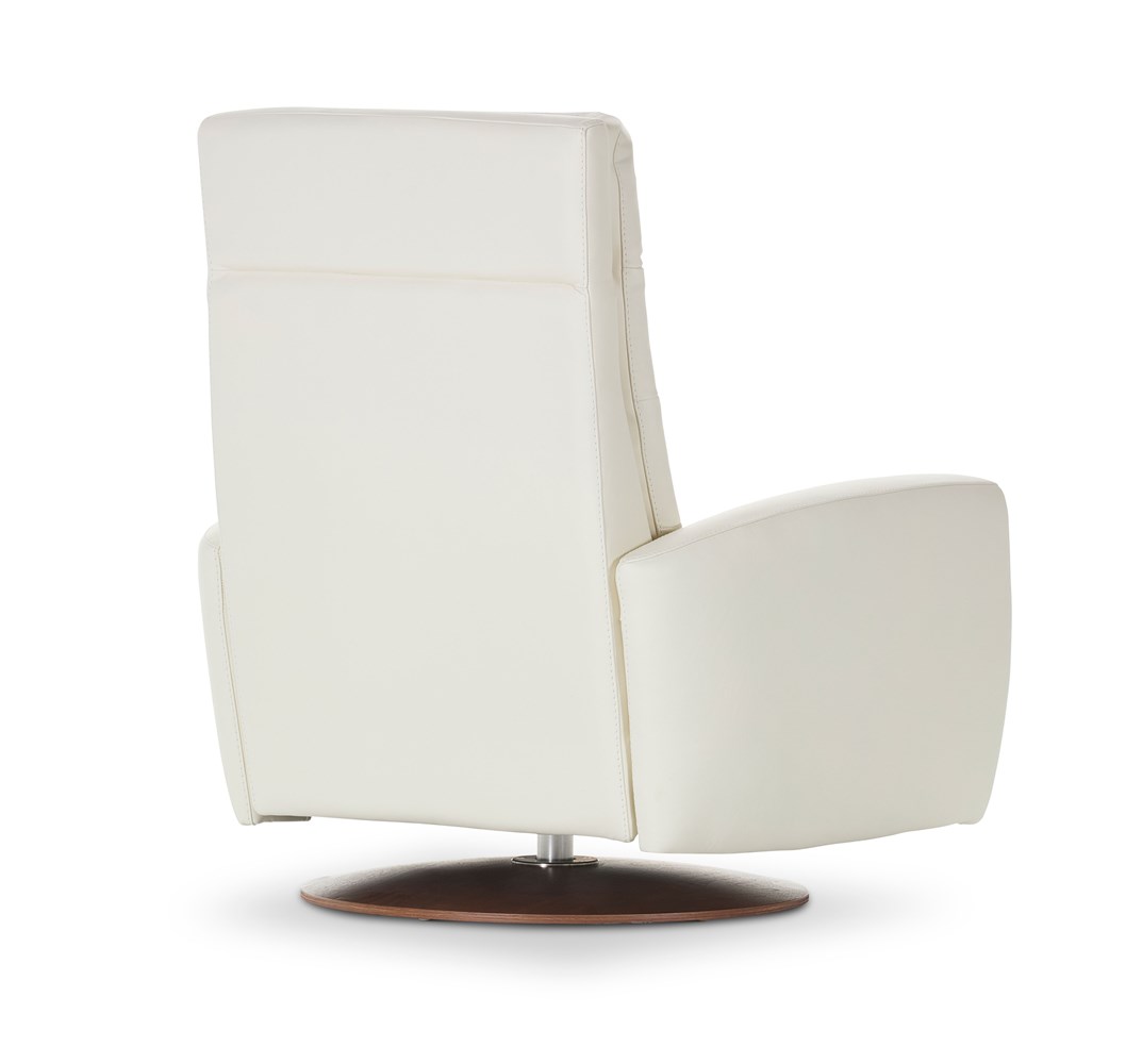 Lanier Comfort Echo Power Recliner