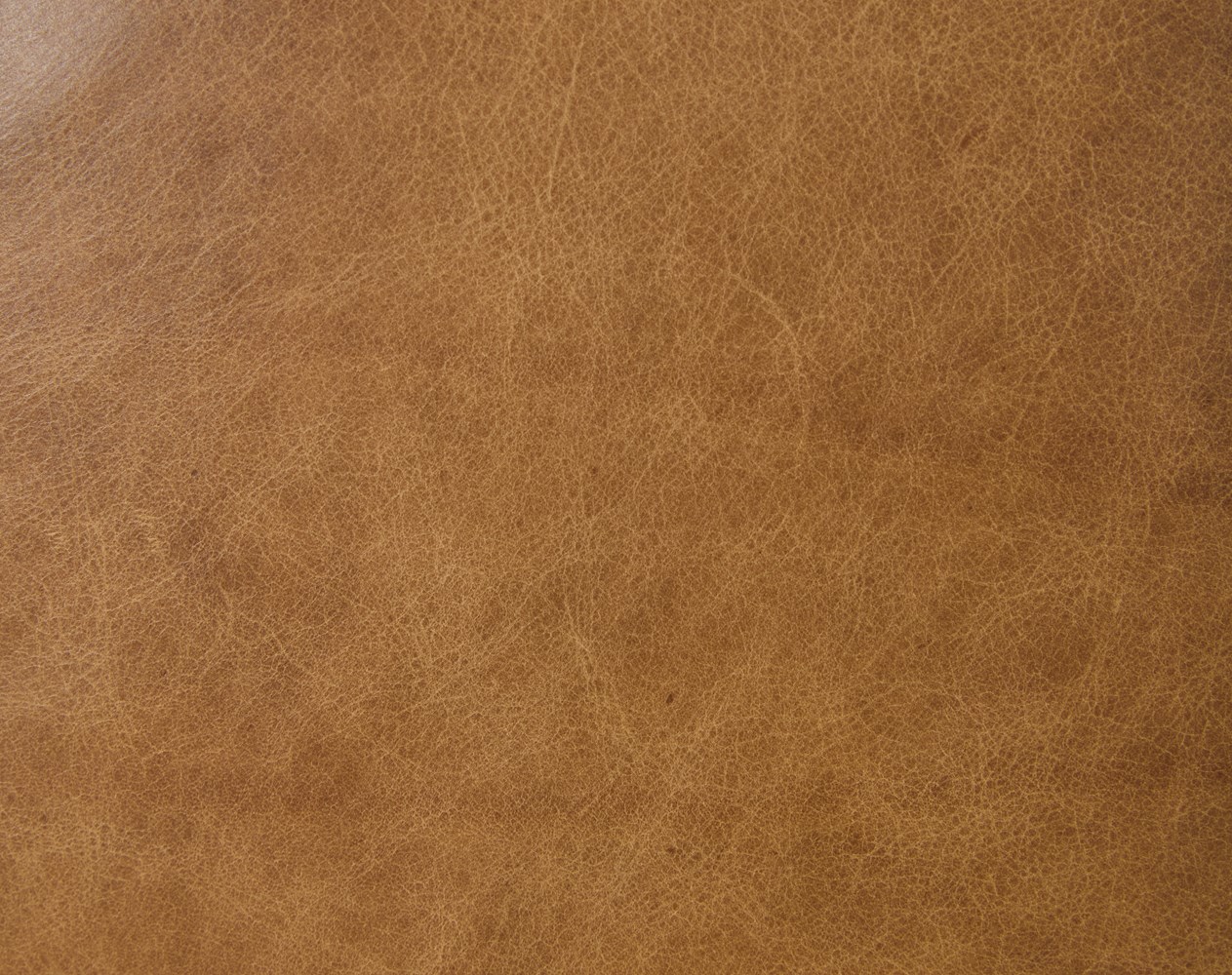 Aline Leather Swivel Chair