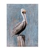 Pelican Gallery Wrapped Canvas
