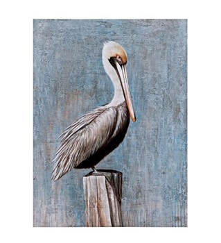 Pelican Gallery Wrapped Canvas