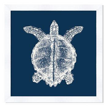 Turtle In Blue Reverse