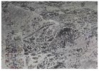 8' X 10' Gray/Purple Hand Knotted Rug 8' X 10' Gray/Purple Hand Knotted Rug