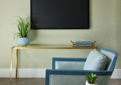 alt model interior photo