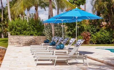 Six outdoor chaises with blue sun unbrellas on a Florida patio with lush palm trees.
