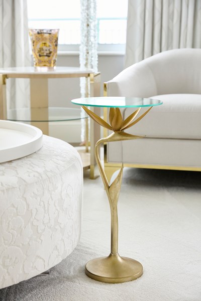 alt residential interior photo