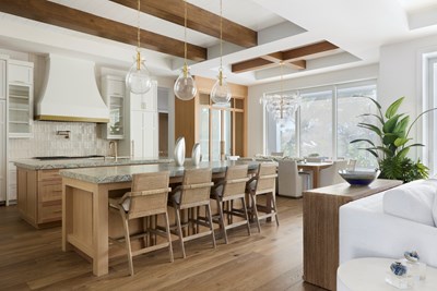 alt model interior photo