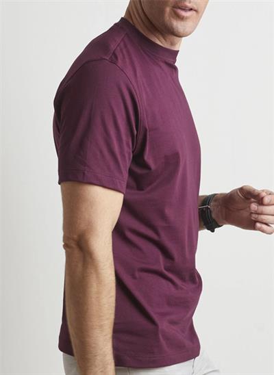 aubergine