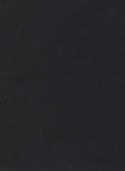 DG-Spider