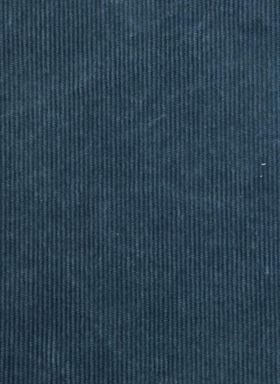 cadet blue 